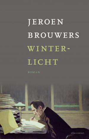 Cover of the book Winterlicht by Florian Illies
