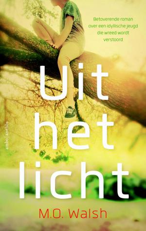 Book cover of Uit het licht