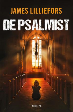 Cover of the book De psalmist by J.F. van der Poel