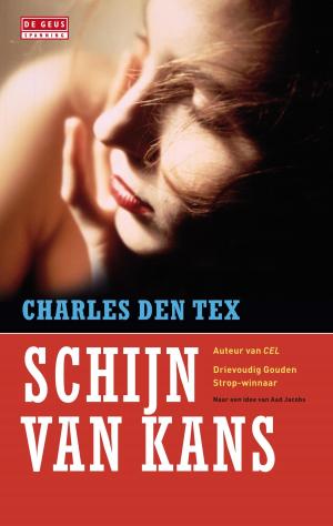 Cover of the book Schijn van kans by Patti Smith