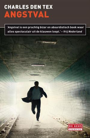 Cover of the book Angstval by Naomi Rebekka Boekwijt