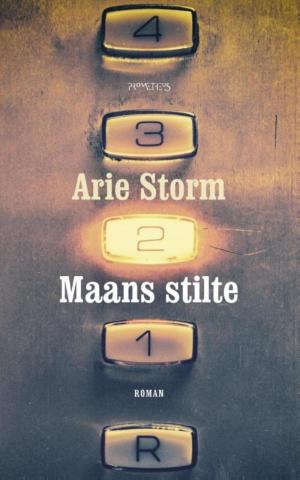 Cover of the book Maans stilte by Griet Op de Beeck