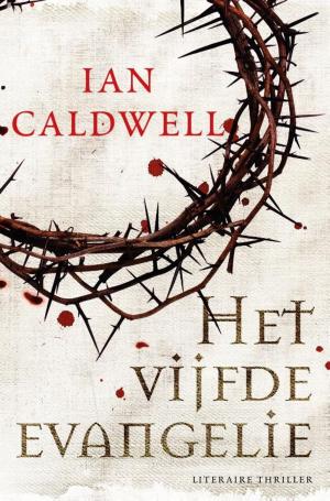Cover of the book Het vijfde evangelie by Mats Strandberg, Sara B. Elfgren