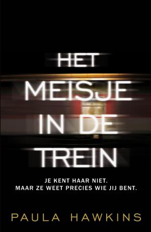 Cover of the book Het meisje in de trein by Havank