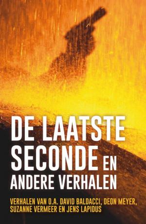 Cover of the book De laatste seconde en andere verhalen by Lisa Unger