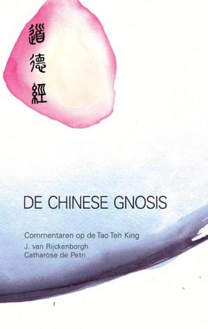 Cover of the book De Chinese gnosis by Boer de André, Rozema Tanja