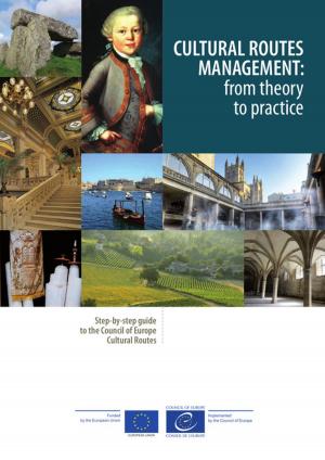 bigCover of the book Cultural Routes management: from theory to practice by 