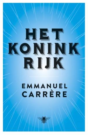 Cover of the book Het koninkrijk by Marten Toonder