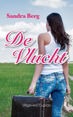 Cover of the book De vlucht by Anita Verkerk