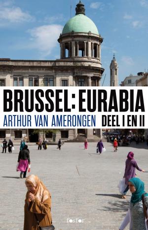 Cover of the book Brussel Eurabia by Fred Saueressig
