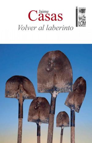 Cover of the book Volver al laberinto by Armando Uribe