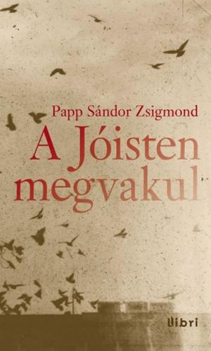 Cover of the book A Jóisten megvakul by Kondor Vilmos