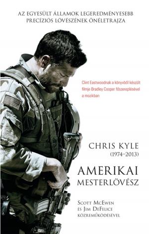 Book cover of Amerikai Mesterlövész