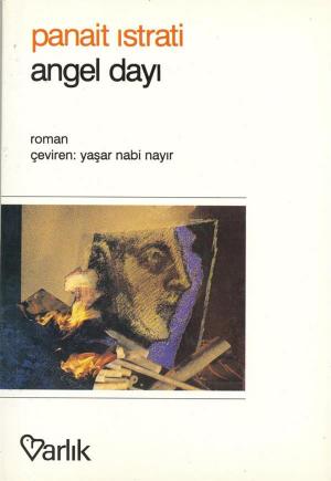 Book cover of Angel Dayı