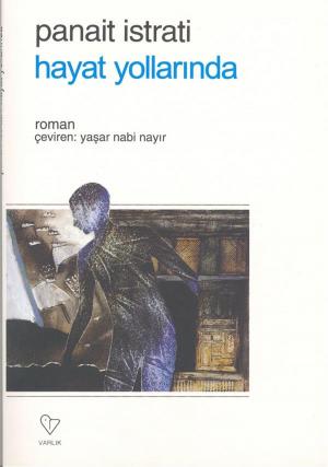 Book cover of Hayat Yollarında