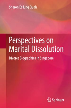 Cover of the book Perspectives on Marital Dissolution by 