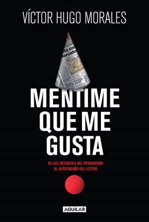 Cover of the book Mentime que me gusta by Mariano Otálora