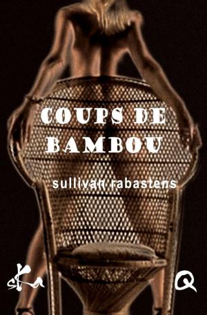 Cover of the book Coups de bambou by Laurence Biberfeld