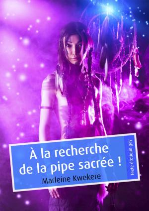 Cover of the book À la recherche de la pipe sacrée ! by Alex D.