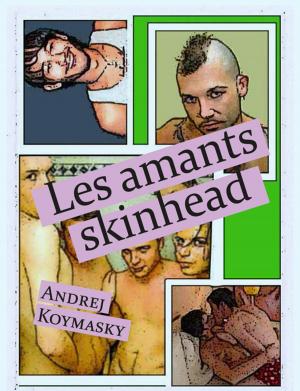 Cover of the book Les amants skinhead by Kit Fox