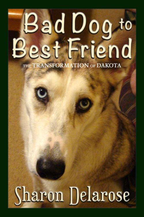Cover of the book Bad Dog to Best Friend by Sharon Delarose, Gityasome Books
