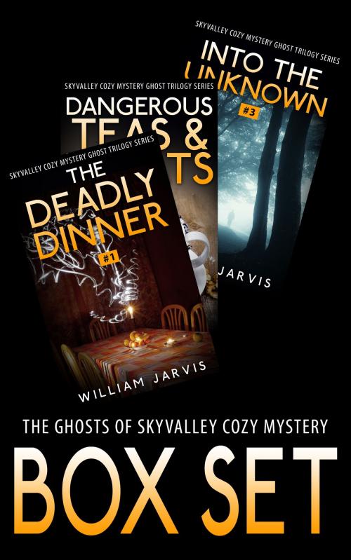 Cover of the book The Ghosts Of Sky Valley Cozy Mystery Box Set by William Jarvis, Yap Kee Chong