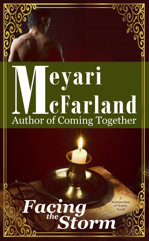 Cover of the book Facing the Storm by Meyari McFarland, Mary Raichle