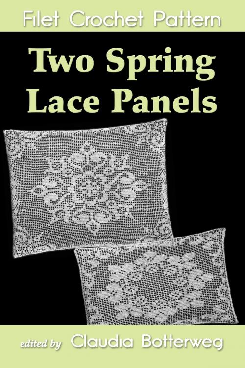 Cover of the book Two Spring Lace Panels Filet Crochet Pattern by Claudia Botterweg, Ethel Herrick Stetson, Eight Three Press