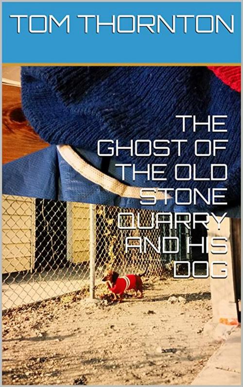 Cover of the book THE GHOST OF THE OLD STONE QUARRY AND HIS DOG by Thomas Thornton, Thomas Thornton