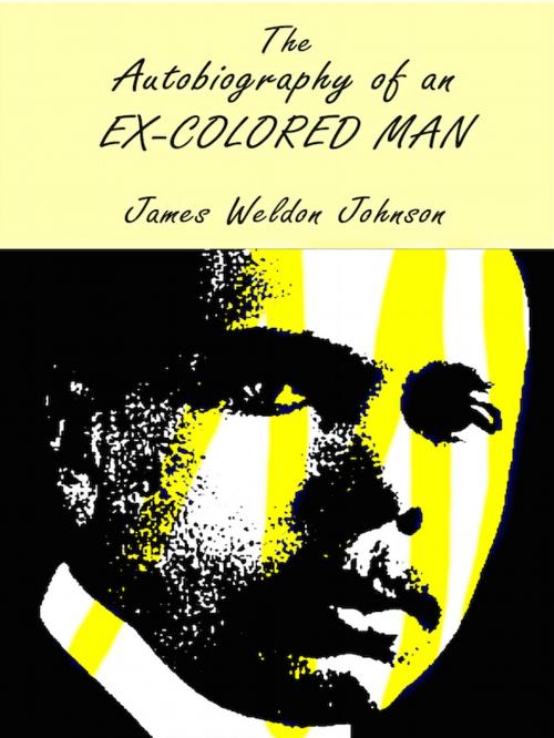 Cover of the book The Autobiography of an Ex-Colored Man by James Weldon Johnson, Editions Artisan Devereaux LLC