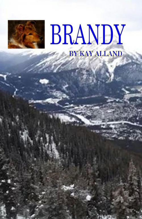 Cover of the book Brandy by Kay Alland, Kay Alland