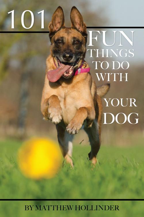 Cover of the book 101 Fun Things to Do With Your Dog by Matthew Hollinder, Conceptual Kings