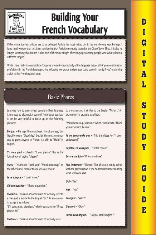 Cover of the book French Vocabulary (Blokehead Easy Study Guide) by The Blokehead, Yap Kee Chong