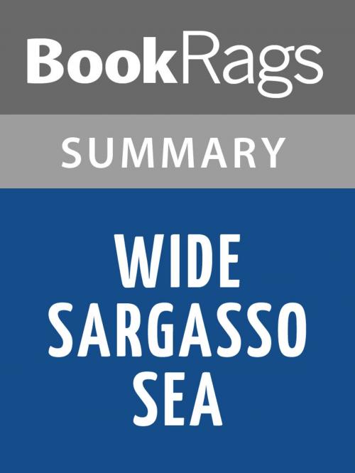 Cover of the book Wide Sargasso Sea by Jean Rhys Summary & Study Guide by BookRags, BookRags