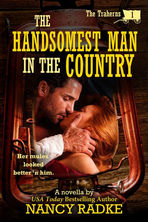Cover of the book The Handsomest Man in the Country by Nancy Radke, Bedrock Distribution LLC