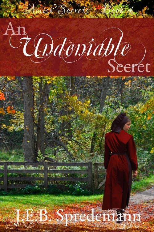 Cover of the book An Undeniable Secret (Amish Secrets - Book 4) by J.E.B. Spredemann, Blessed Publishing