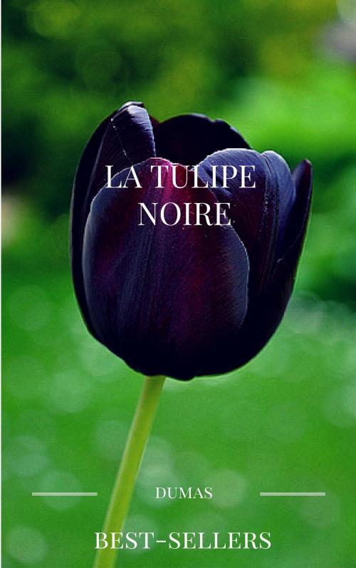 Cover of the book la tulipe noire by alexandre dumas, guido montelupo