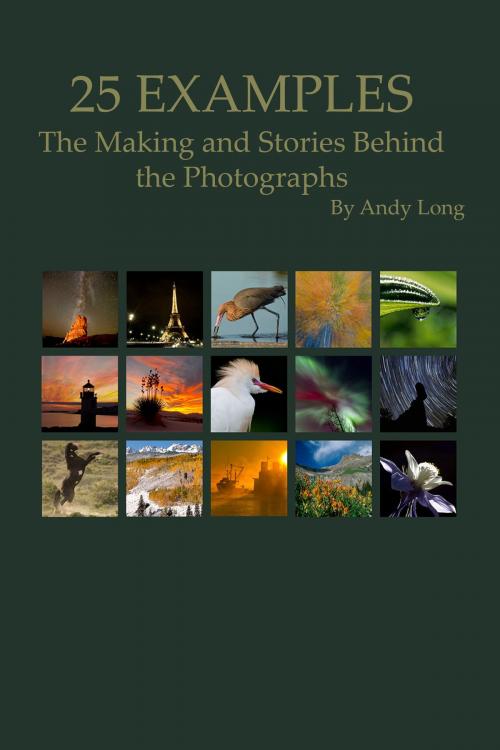 Cover of the book 25 Examples - The Making and Stories Behind the Photographs by Andy Long, First Light Photography, LLC