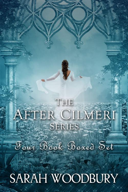 Cover of the book The After Cilmeri Series Boxed Set: Daughter of Time/Footsteps in Time/Winds of Time/Prince of Time by Sarah Woodbury, The Morgan-Stanwood Publishing Group