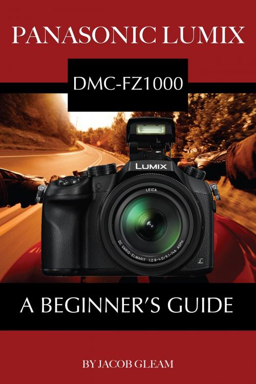Cover of the book Panasonic Lumix DMC-FZ1000: A Beginner’s Guide by Jacob Gleam, Conceptual Kings