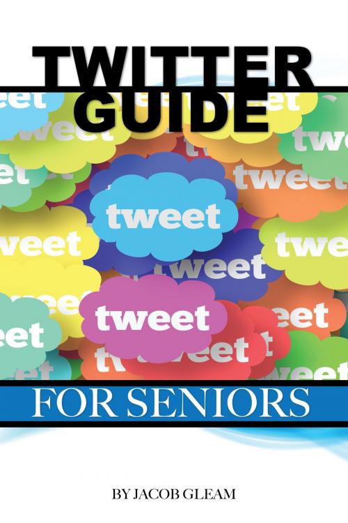 Cover of the book Twitter Guide: For Seniors by Jacob Gleam, Conceptual Kings