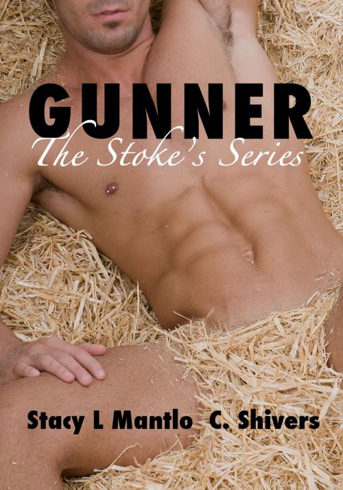 Cover of the book Gunner by Stacy L. Mantlo, C. Shivers, Stacy L. Mantlo & C. Shivers