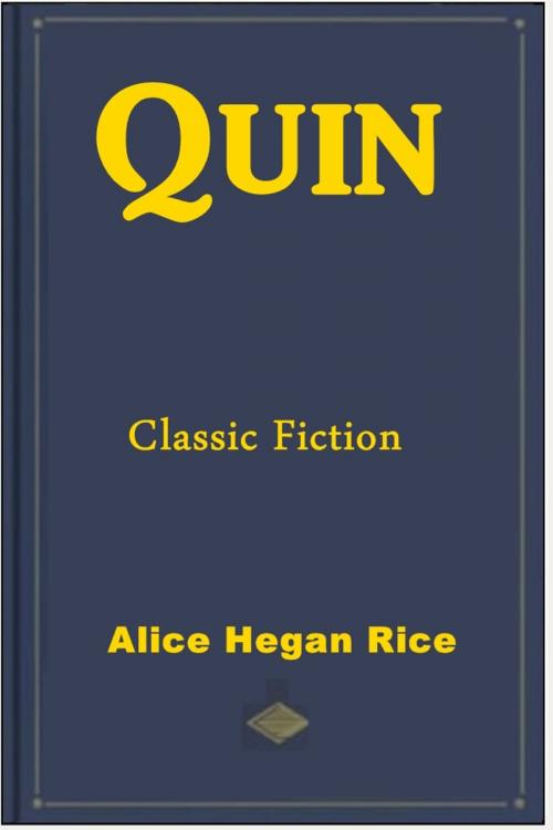 Cover of the book Quin by Alice Hegan Rice, Green Bird Press