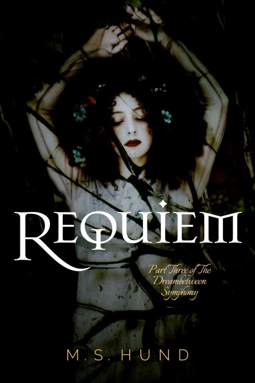Cover of the book Requiem by M.S. Hund, Jebesyl Press