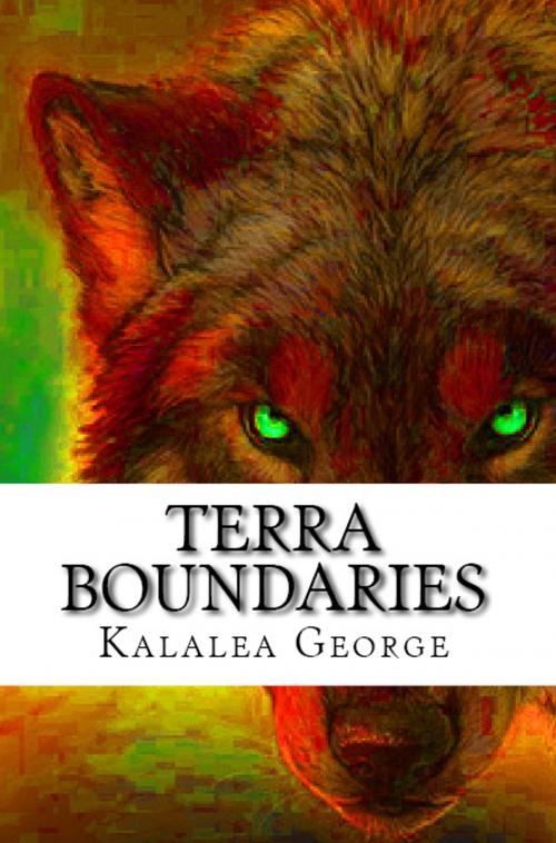 Cover of the book Terra Boundaries by Kalalea George, K. George