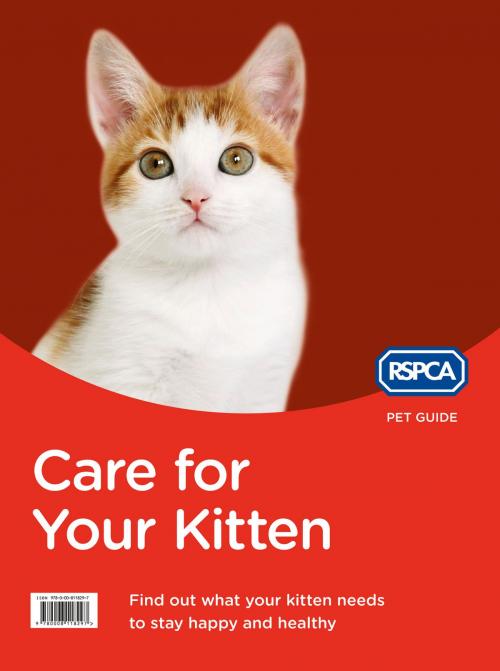Cover of the book Care for Your Kitten (RSPCA Pet Guide) by RSPCA, HarperCollins Publishers
