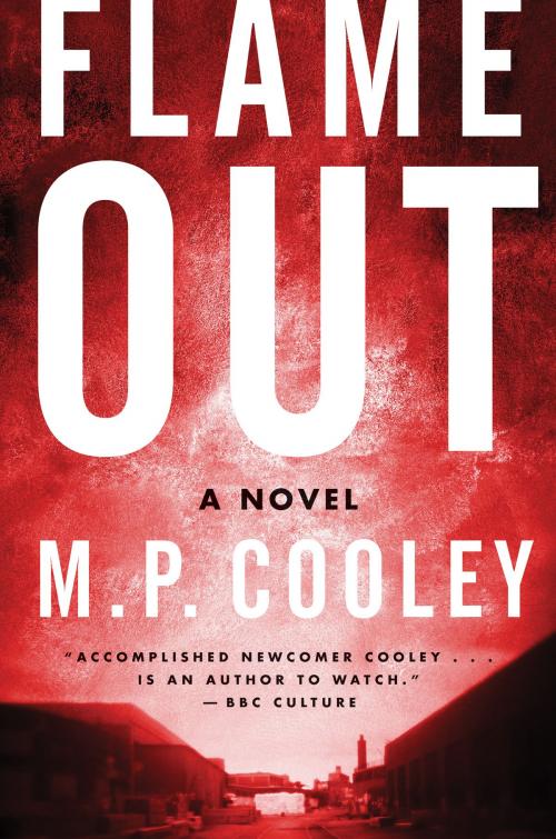 Cover of the book Flame Out by M. P. Cooley, William Morrow