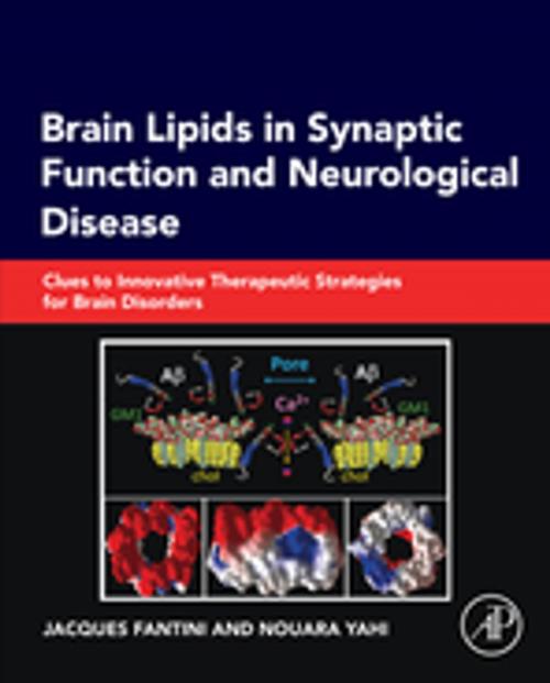 Cover of the book Brain Lipids in Synaptic Function and Neurological Disease by Jacques Fantini, Nouara Yahi, Elsevier Science