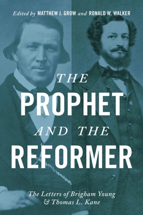 Cover of the book The Prophet and the Reformer by , Oxford University Press
