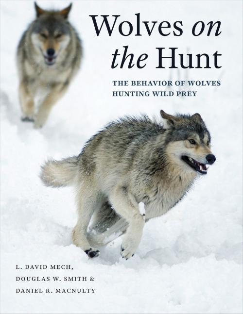 Cover of the book Wolves on the Hunt by L. David Mech, Douglas W. Smith, Daniel R. MacNulty, University of Chicago Press